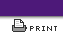 print this page